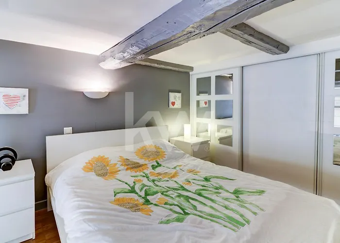 Spacieux Duplex - Zone Pietonne *