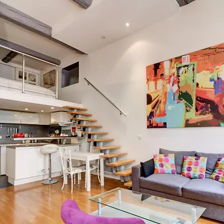 Daire Spacieux Duplex - Zone Pietonne Nice
