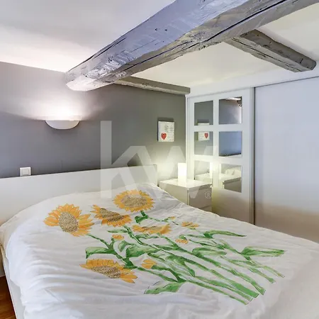 Spacieux Duplex - Zone Piétonne *